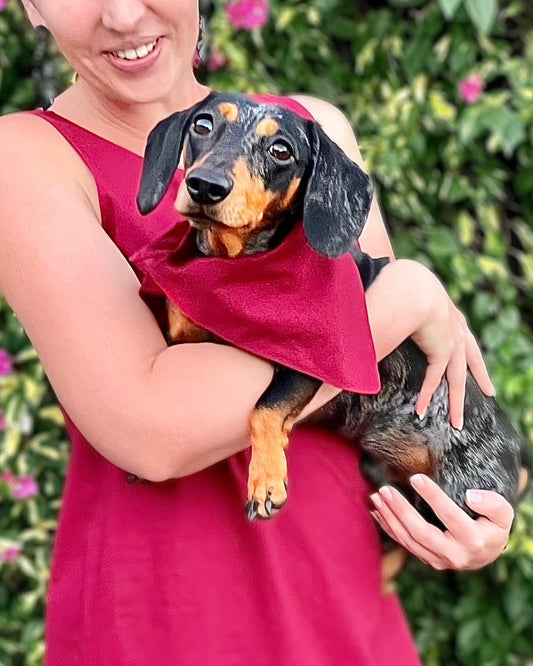 DOG BANDANA